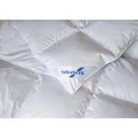 Фото Ковдра пухова Billerbeck Діана К2 касетна 172х205 см 0590-32/02